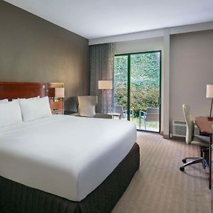 Poolside King Room